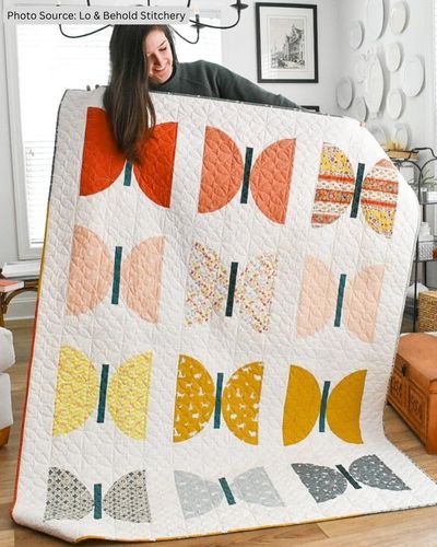 Butterfly Quilt Pattern Idea from Lo & Behold Stitchery