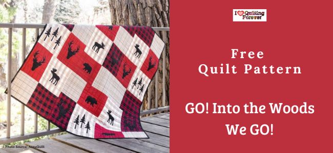 GO! Into the Woods We GO! Quilt featured cover photo