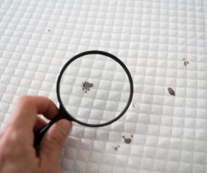 How To Get A Blood Stain Out Of A Quilt - I Love Quilting Forever