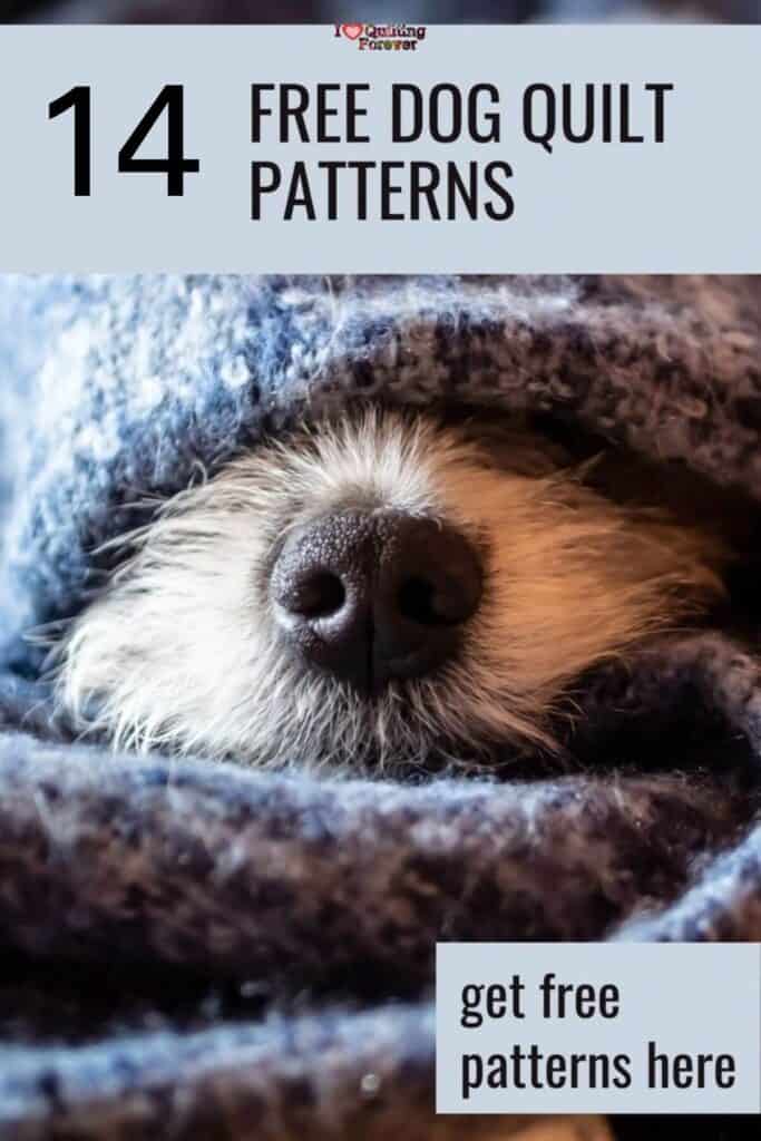 Dog Quilt Patterns - ILQF