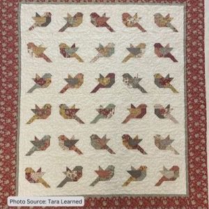 Bird Quilt Pattern Idea from Tara Learned 