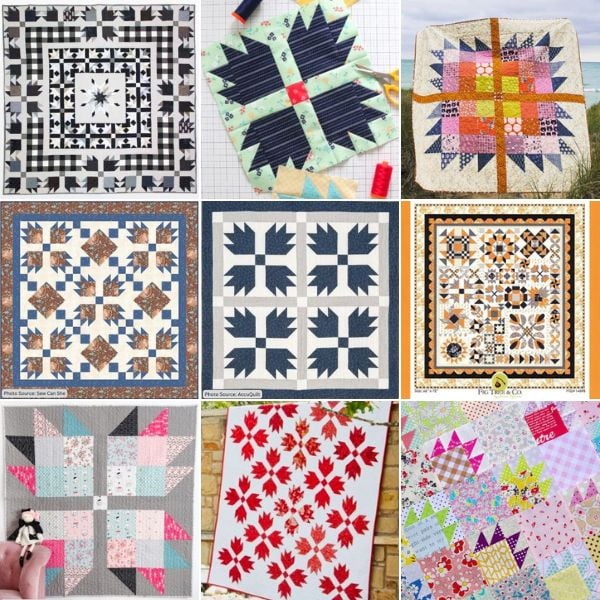Bear Paw Quilt Patterns roundup featured cover