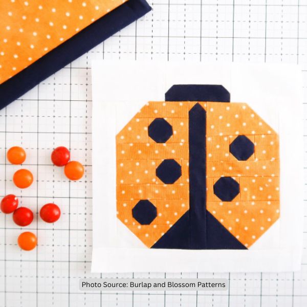 Ladybug Quilt Idea from Burlap and Blossom Patterns