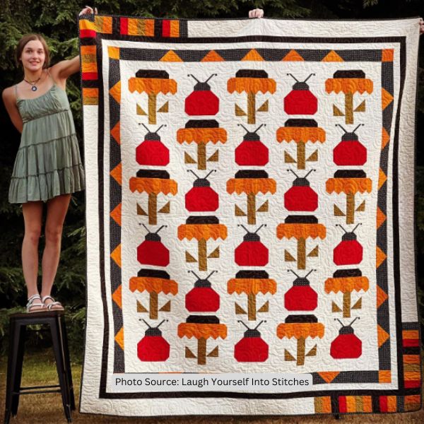 Ladybug Quilt Idea from Laugh Yourself Into Stitches