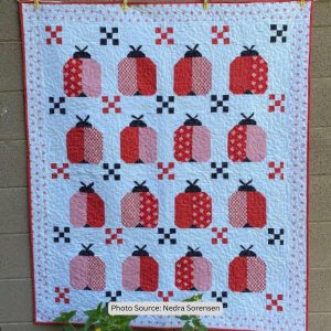 Top 6 Free Ladybug Quilt Patterns (+10 Bonus Patterns For Sale) - I ...