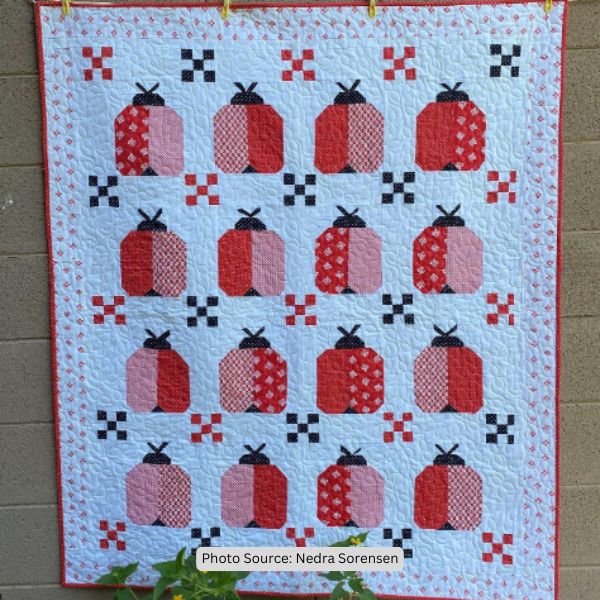 Ladybug Quilt Idea from Nedra Sorensen