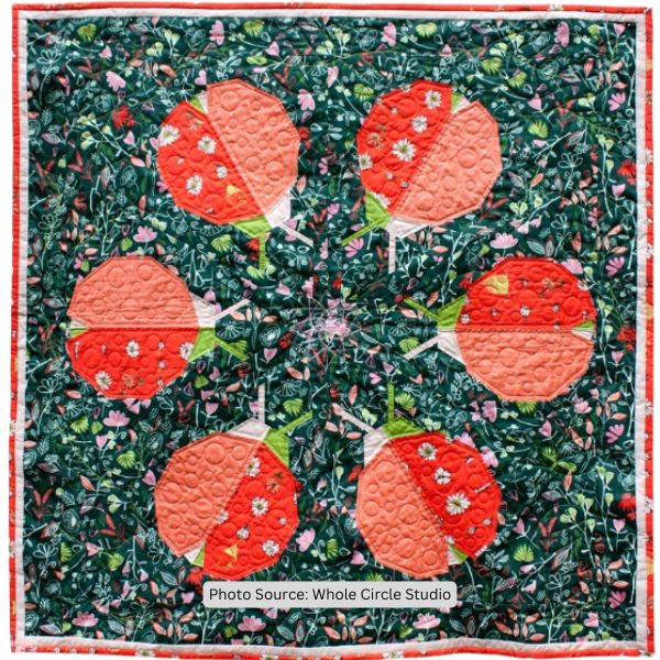 Ladybug Quilt Idea from Whole Circle Studio