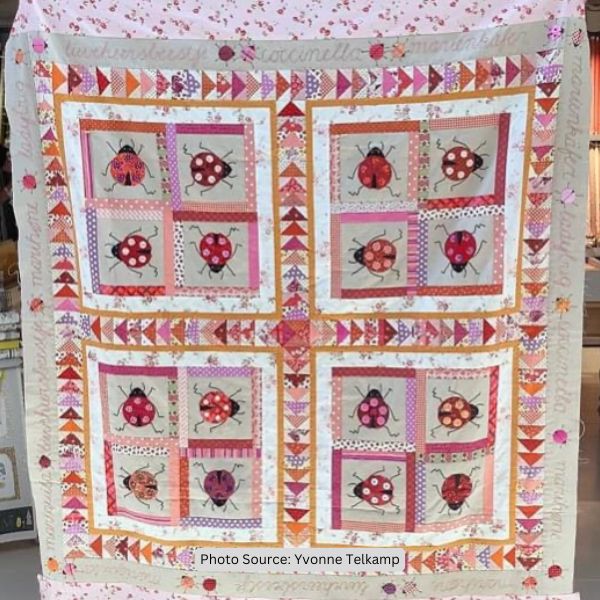 Ladybug Quilt Idea from Yvonne Telkamp