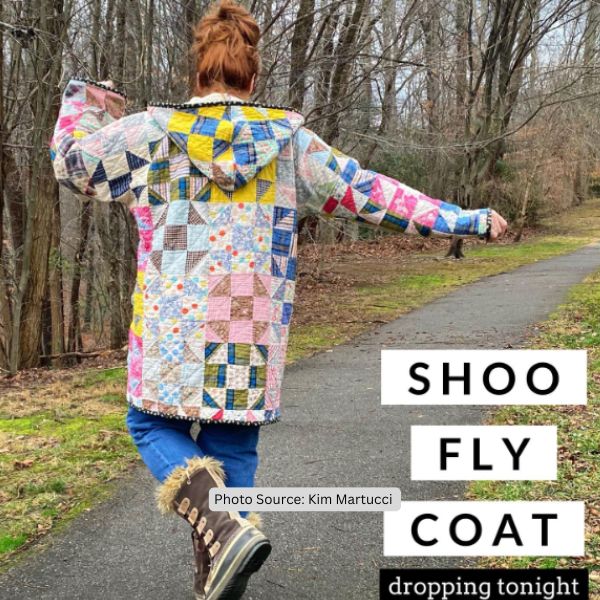 Shoo Fly Quilt Idea from Kim Martucci