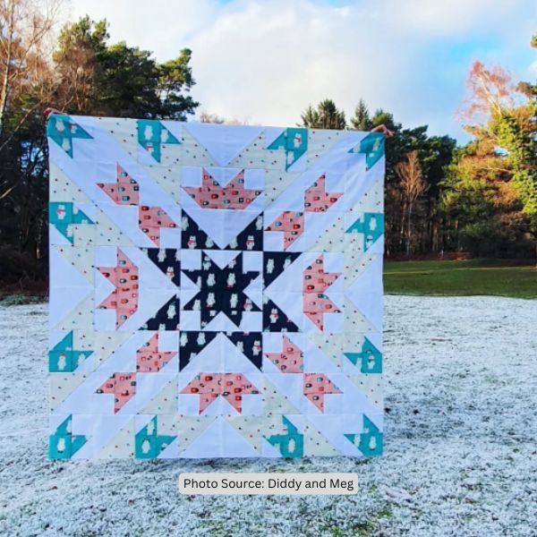 Shooting Star Quilt Idea from Diddy and Meg