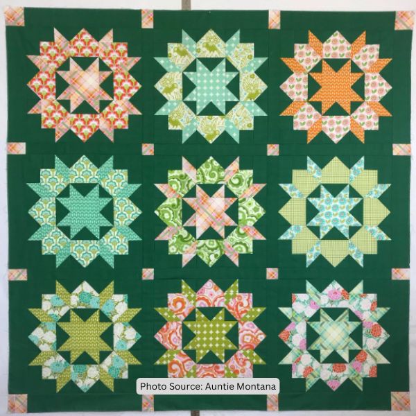 Swoon Quilt Idea from Auntie Montana