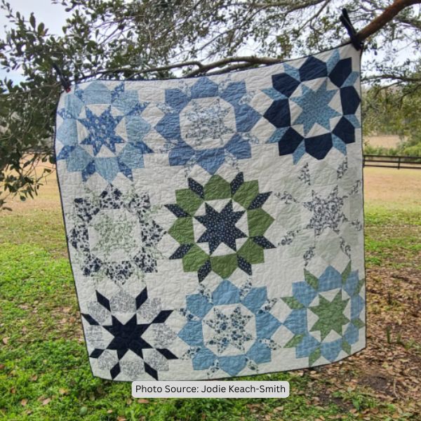 Swoon Quilt Idea from Jodie Keach-Smith
