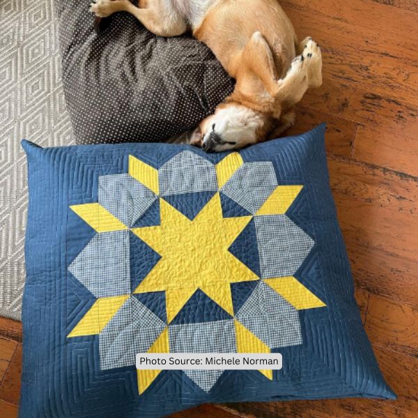 Swoon Quilt Idea from Michele Norman