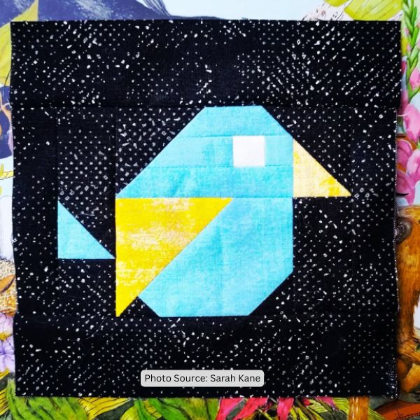 6-Inch Square Quilt Idea from Sarah Kane