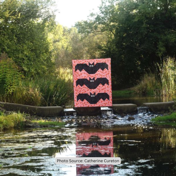 Bat Quilt Idea from Catherine Cureton