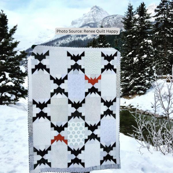 Bat Quilt Idea from Renee Quilt Happy