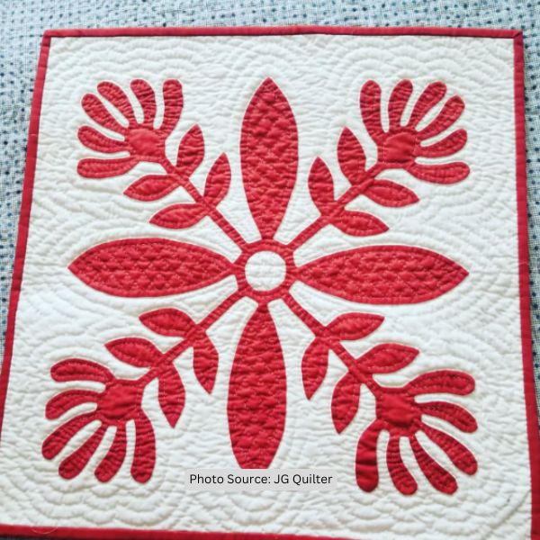 Red and White Quilt Idea from JG Quilter