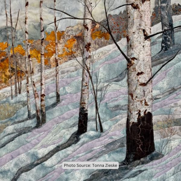 Landscape Quilt Idea from Tonna Zieske
