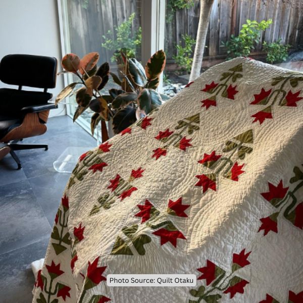 Carolina Lily Quilt Idea from Quilt Otaku