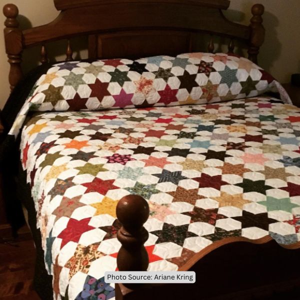 Hexagon Star Quilt Idea from Ariane Kring