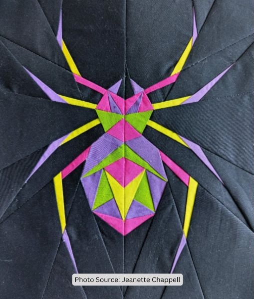 Spider Quilt Idea from Jeanette Chappell