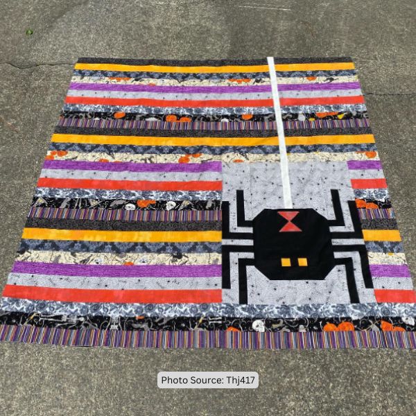 Spider Quilt Idea from Thj417
