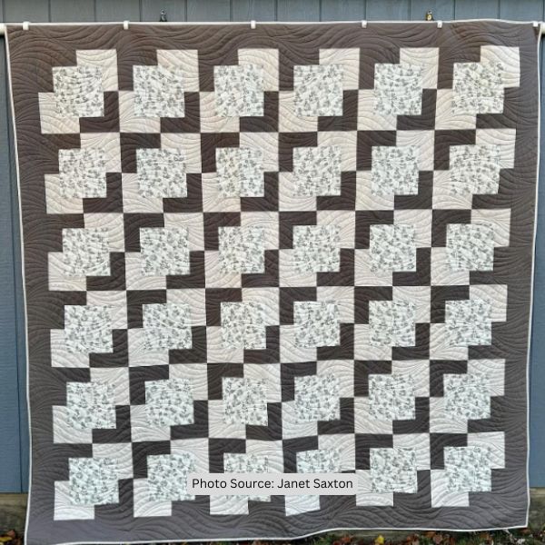 Town Square Quilt Idea from Janet Saxton