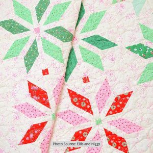 Top 9 Free Christmas Star Quilt Patterns (+10 Bonus Patterns For Sale ...