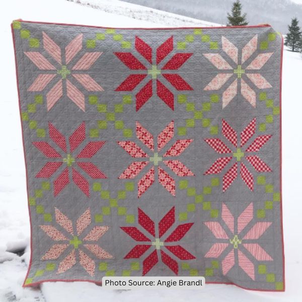 Poinsettia Quilt Idea from Angie Brandl