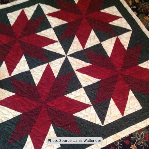 Poinsettia Quilt Idea from Janis Wallender