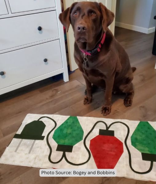 Christmas Lights Quilt Idea from Bogey and Bobbins