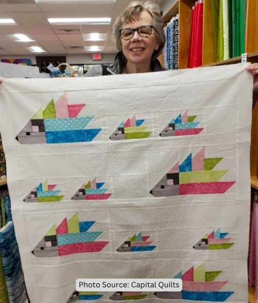 Hedgehog Quilt Idea from Capital Quilts