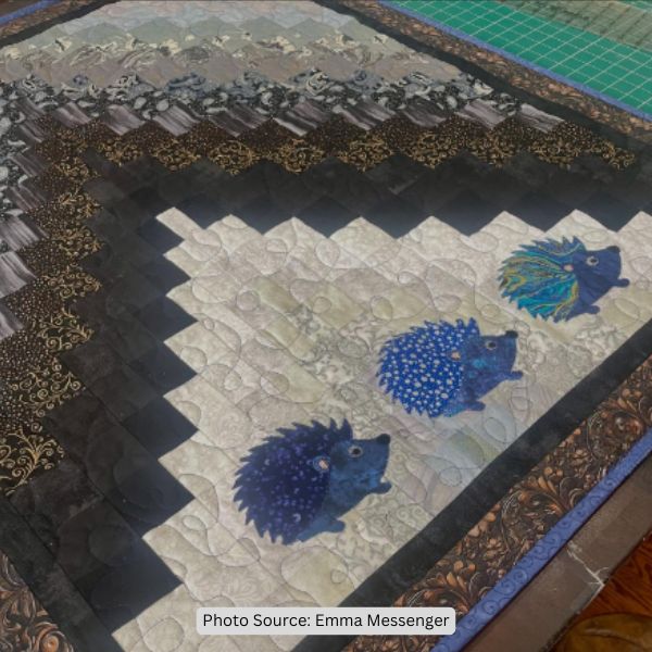 Hedgehog Quilt Idea from Emma Messenger