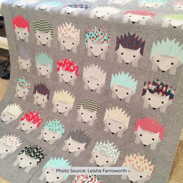 Hedgehog Quilt Idea from Leisha Farnsworth