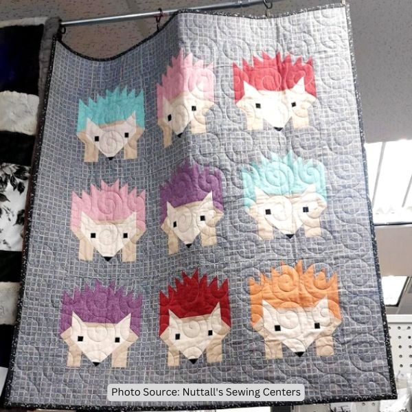 Hedgehog Quilt Idea from Nuttall's Sewing Centers