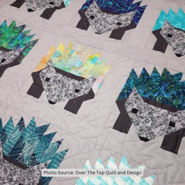 Hedgehog Quilt Idea from Over The Top Quilt and Design