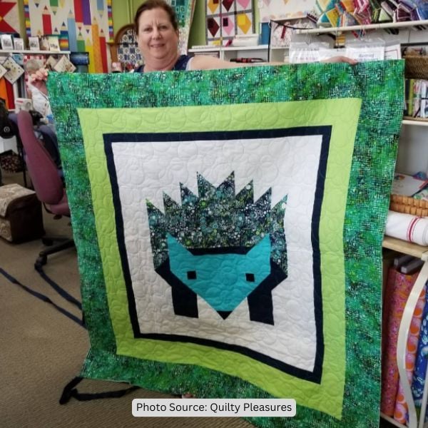 Hedgehog Quilt Idea from Quilty Pleasures