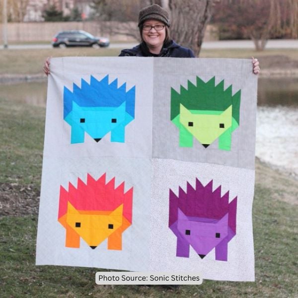 Hedgehog Quilt Idea from Sonic Stitches