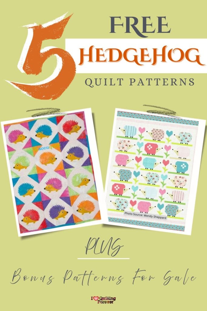 Hedgehog Quilt Patterns Roundup 4 ILQF Pinterest