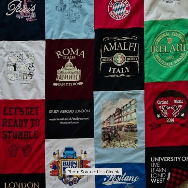 Travel Quilt Idea from Lisa Cicenia