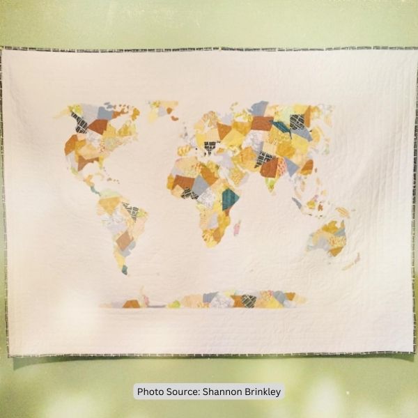 Travel Quilt Idea from Shannon Brinkley