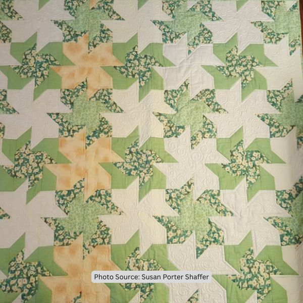 Double Pinwheel Quilt Idea from Susan Porter Shaffer