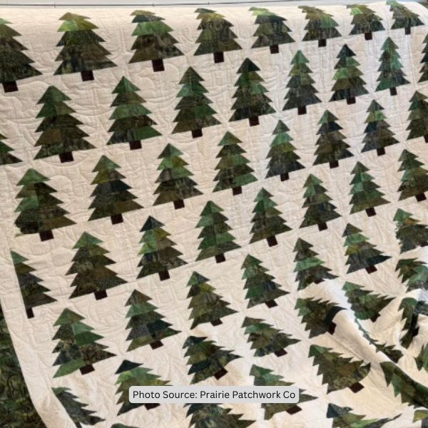 Green Quilt Idea from Prairie Patchwork Co