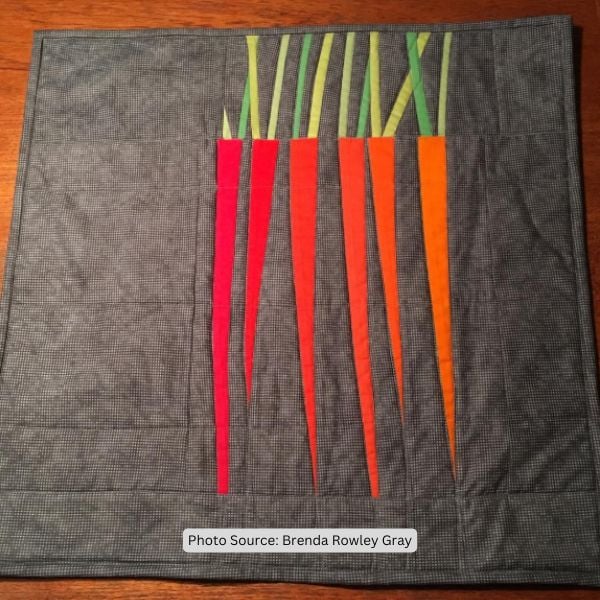 Carrot Quilt Idea from Brenda Rowley Gray