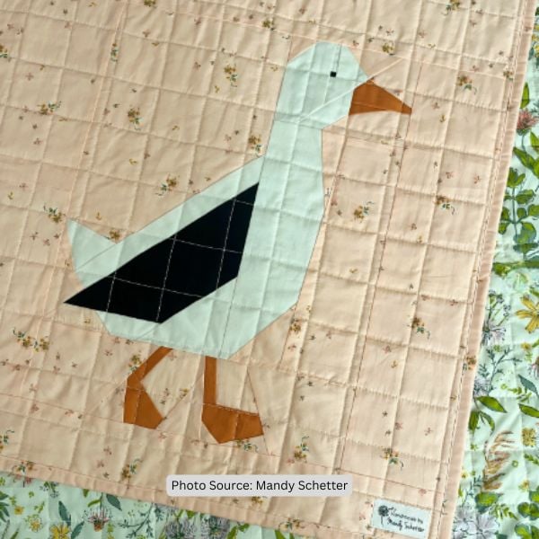 Duck Quilt Idea from Mandy Schetter
