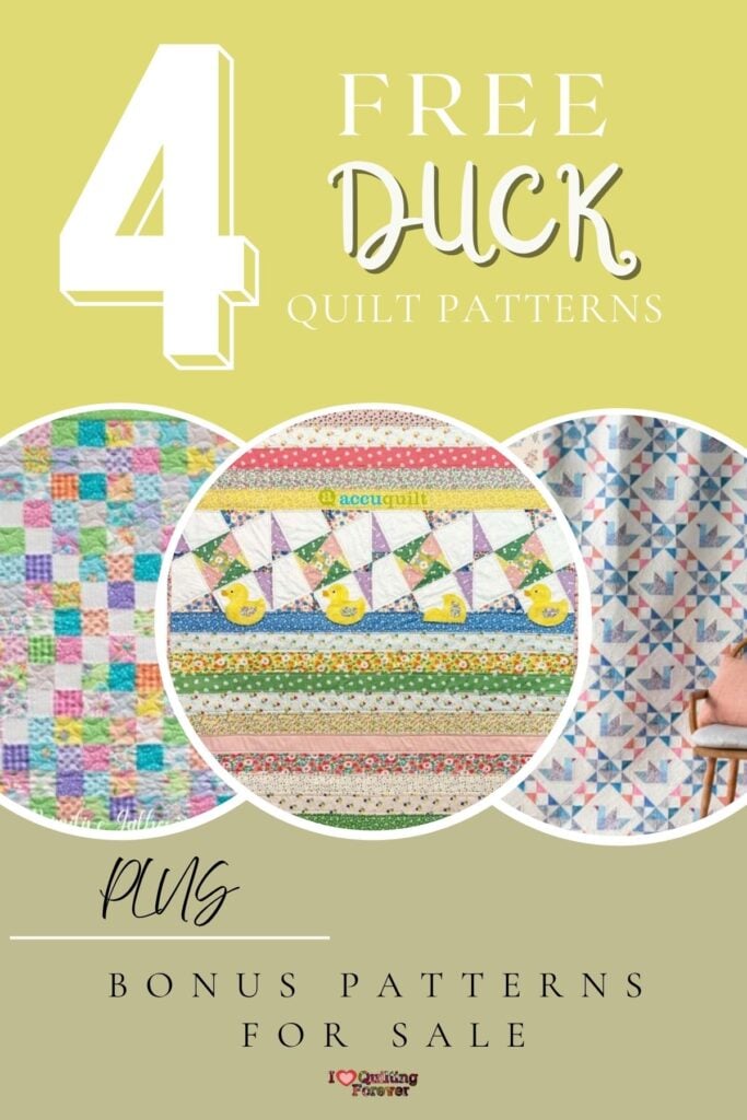 Duck Quilt Patterns Roundup 2 ILQF Pinterest