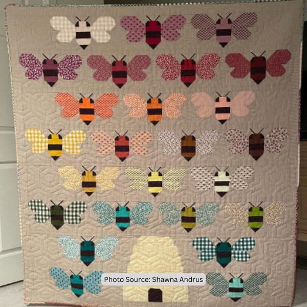 Bee Hive Quilt Idea from Shawna Andrus