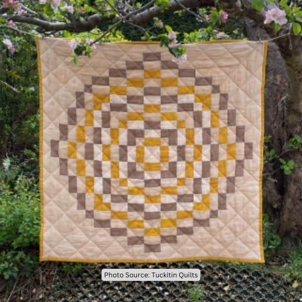 Bee Hive Quilt Idea from Tuckitin Quilts