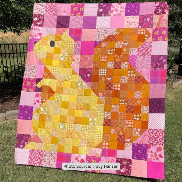 Squirrel Quilt Idea from Tracy Hansen