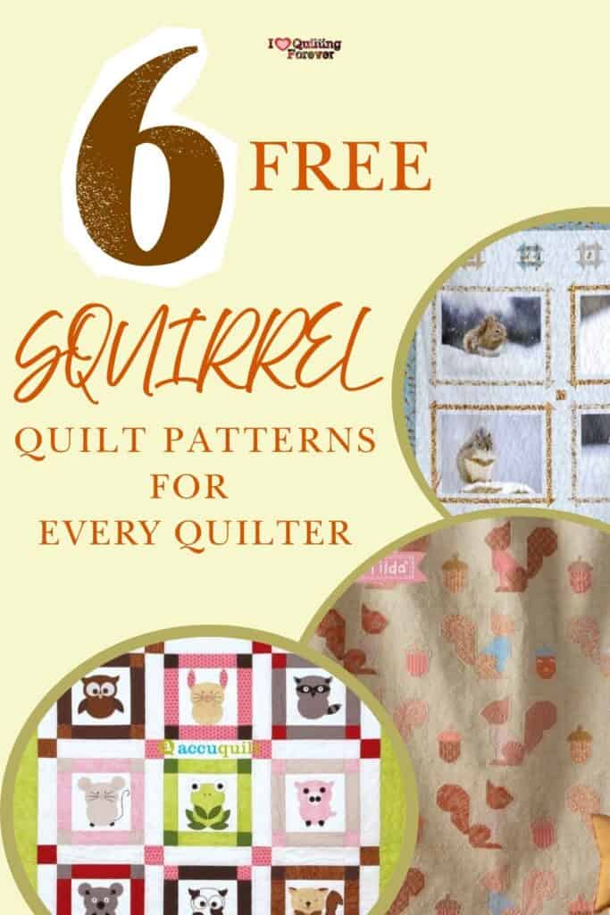Squirrel Quilt Patterns Roundup 4 ILQF Pinterest